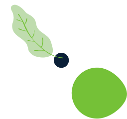 sisu